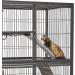 Ferret Nation/Critter Nation Ramp Covers - Designer Set of 3 - Buy Online on GoSupps.com