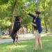Oursouion Flirt Pole Dogs Flirt Pole with Dog Rope - An Outdoor Interactive Dog Toy for Chase and Drag Training Durable Cotton Rope for Small Medium and Large Dogs - Buy Online on GoSupps.com