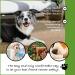 Suitical Original Recovery Suit - Professional Alternative to Dog Cone for Medium Dogs - Black - Buy Online on GoSupps.com