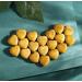 MAIBAOTA Topaz Healing Crystals Gemstones Pocket Gifts Heart-Shaped Nature Spiritual Energy for Women Men Reiki Divination Balancing Yoga Meditation 10PCS - Buy Online on GoSupps.com