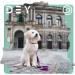 Dey Premium Adjustable Dog Collar - Nylon Neck Bands for Small & Large Dogs Cats & Puppies - Multiple Colors & Sizes Available - Red XS - Buy Online on GoSupps.com