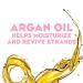 OGX Argan Oil of Morocco Shampoo & Conditioner Set - 25.4oz x 2 Bottles - Buy Online on GoSupps.com