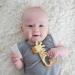 Dr. Brown's Ridgees Giraffe Baby Teether | BPA-Free | Pediatric Dentist Designed | 3m - Buy Online on GoSupps.com
