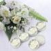 40 Pieces Wedding Lip Balm Bulk Bridal Shower Favors Lip Balms Mr and Mrs Thanks for Coming Wedding Favors Gift for Guest Girl Bride Women Travel Birthday  0.34 Oz  White - Buy Online on GoSupps.com