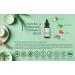 SILKTA GE Island C Glow Drops - Anti-Aging Vitamin C Serum with Hyaluronic Acid & Bitter Melon for Even Skin Tone - 1 Fl Oz - Buy Online on GoSupps.com
