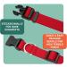 Dey Premium Adjustable Dog Collar - Nylon Neck Bands for Small & Large Dogs Cats & Puppies - Multiple Colors & Sizes Available - Red XS - Buy Online on GoSupps.com