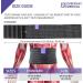 Everyday Medical Umbilical & Inguinal Hernia Bandage - Comfortable Invisible & Adjustable - 2XL (1 Pack) for Everyday Use - Buy Online on GoSupps.com