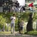 Wangdo Men's Slim Joggers - Grey Small | Gym Workout Pants for Running & Training - Buy Online on GoSupps.com