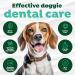 TropiClean Fresh Breath Toothbrush Kit for Small-Medium Dogs - Dental Care & Plaque Removal - 59ml - Buy Online on GoSupps.com