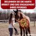 Buy EGGERSMANN Horse Food 1kg - Delicious Natural Fruit & Vegetable Treats for Horses & Ponies | Perfect Reward & Snack | Premium Horse Accessories - Buy Online on GoSupps.com