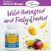 Perfect African Mango Capsules - Natural Weight Loss Support - 60 Vegetarian Capsules - Buy Online on GoSupps.com