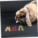 BUGUUYO Rabbit Snacks Guinea Pig Treats Rabbit Treats for Bunnies Bunny Cage Accessories Fiber - Buy Online on GoSupps.com