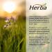 Herba Hemorrhoids Treatment Supplement 90 Capsules | 6 Natural Ingredients including Collinsonia Diosmin Hesperidin Horse Chestnut Witch Hazel and Psyllium Husk to Help Treat Hemorrhoids Naturally | Hemorrhoid Care - Buy Online on GoSupps.com
