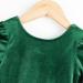 Miipat Baby Girls Velvet Dress - Long Sleeve Elegant Princess Dress for Toddler Girl (2-3 Years, Green) - Perfect for Fall/Winter, Birthday Party, Wedding - Buy Online on GoSupps.com