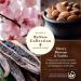 WoodWick Renew Medium Candle - Cherry Blossom & Vanilla | 6oz Plant-Based Soy Wax Upcycled Materials 55 Hours Burn Time - Buy Online on GoSupps.com