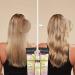 Go Blonder Lightening Shampoo for Blonde Color-Treated Hair - Paraben, Phthalate, Silicone, and Ammonia Free - Cruelty Free, Vegan Friendly - 8.3 oz - Buy Online on GoSupps.com