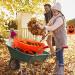DERAYEE 6Pcs Halloween Pumpkin Lawn Bags - Large Jack O Lantern Leaf Bags for Outdoor Halloween Yard Decorations - Buy Online on GoSupps.com