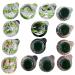 Mint Flavored Professional Strength Tooth Polish - Medium  Coarse  or X-Coarse (X-Coarse Grit) 14 Count (Pack of 1)