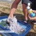 Fibertec Travel SOAP ECO - Biodegradable Mini Soap for Outdoor & Travel 100ml - Buy Online on GoSupps.com