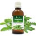Savia Taramira (Eruca Sativa) Essential Oil 100% Pure & Natural - Undiluted Uncut Oil - Use for Aromatherapy - Therapeutic Grade - 30ML