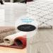 Ryaco Gleverse Fitness Sliders - Double-Sided Gliding Discs for Home Workouts | Full Body & Belly Training | Free Carry Bags - For Carpet Tiles Laminate & Wood Floors - Buy Online on GoSupps.com