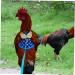 CORHAD Chicken and Duck Vest Hen Leash Chicken Lead and Harness Small Dog Harness Rooster Costume Pet Leash 17X15X0.5CM Blue - Buy Online on GoSupps.com