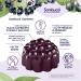 Sambucol Black Elderberry Gummies - 30 Count | Immune Support & Antioxidants - Buy Online on GoSupps.com