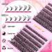Calphdiar D Curl Cluster Eyelash Extensions - 240PCS 40D & 50D Individual Wispy Lashes - 9-16MM DIY Lash Clusters for Stunning Eyes - Buy Online on GoSupps.com