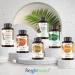 Organic Ginger Supplement - 1300mg High Strength - Soil Association Certified - Vegan Joint & Digestion Support - Buy Online on GoSupps.com