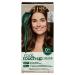 Clairol Root Touch-Up by Natural Instincts Permanent Hair Dye  5C Cool Brown Hair Color  Pack of 1 5C Cool Brown 2.72 Ounce (Pack of 1)