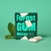 Buy Eco-Friendly Forest Gum Trial Set | 5 Vegan Flavors - Mint Eucalyptus Berry Cassis Mango | Plastic-Free Sugar-Free | 9 x 20g - Buy Online on GoSupps.com