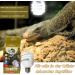 Buy Lucky Herp UVB Lamp 9W - Mini Reptile & Bird Lamp 10.0 for Turtles Lizards Snakes & Parrots - 30% UVA & 10% UVB - International Shipping Available - Buy Online on GoSupps.com