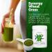Synergy 200g Wheat Grass Powder - Pure and Potent Superfood Supplement - Buy Online on GoSupps.com