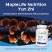 Yunzhi Mushroom 400mg for immune system - 100 Capsules - Buy Online on GoSupps.com