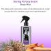 Tapout Victory Body Spray Perfume for Men Refreshing Fragrance 8 Ounces - Buy Online on GoSupps.com