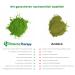 Buy Matcia Therapy 130+ Bio Matcha Tea Powder 60g - High EGCG Content Supports Immunity & Energy - Premium Japanese Green Tea - Buy Online on GoSupps.com
