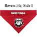 Georgia Bulldogs Reversible Bandana | Pets First Collegiate Pet Accessories | Large/X-Large - Buy Online on GoSupps.com