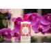 Yardley London Body Lotion Magnolia & Pink Orchid 250ml | Hydrating & Luxurious | International Shipping Available - Buy Online on GoSupps.com