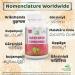 Garcinia Cambogia Capsule - Natural Weight Loss Supplement | [Brand Name] - Buy Online on GoSupps.com