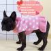 KYEESE Polka Dot Pink Dog Sweater Dress with Leash Hole - Knit Warm Clothes for Small Dogs - Fall/Winter Stylish Pet Apparel (Pack of 1) - Buy Online on GoSupps.com