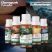 Nordholz Sauna Infusion - 48 Varieties (15ml) | #34 Lapland - Special Fragrance for Relaxing Sauna Moments | Premium Sauna Accessories - Buy Online on GoSupps.com