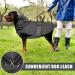 Waterproof Dog Coat with Hood & Dishes for Small to Medium Dogs | Reflective Windproof Rain Jacket - Mosucoirl - Buy Online on GoSupps.com