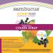 Nature's Way Sambucus Kids Nighttime Cough Syrup - HoneyBerry Flavor, 4 fl oz - Buy Online on GoSupps.com