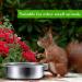 Rfvtgb 3-Piece Bird Feeder Cup Steel Parrot Feeder Cup Animal Cage Water Food Bowl S - Buy Online on GoSupps.com