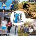 IX INOXTO Hydration Pack Backpack - Lightweight Water Daypack with 2L Bladder for Men and Women - Perfect for Running, Hiking, Cycling & Climbing - Blue - Buy Online on GoSupps.com