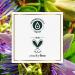 Passion Flower & Grapefruit Sulfate-Free Shampoo | Nourish & Revitalize Your Hair | International Shipping Available - Buy Online on GoSupps.com