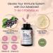 HAPPY FOX Irish Sea Moss Capsules with Elderberry, Vitamin C, D3, B9, B12 & Iron - 90ct | Organic Superfood for Thyroid & Immune Support, Natural Energy, Gut, Skin & Joint Health - Buy Online on GoSupps.com