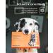 Vetevo Allergy Test for Dogs | 125+ Feed Intolerance Tests for Itching & Sneezing Symptoms - Buy Online on GoSupps.com