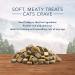 Blue Buffalo Wilderness Grain Free Soft-Moist Cat Treats Chicken & Turkey 2oz - Healthy Snack for Cats - Pack of 1 - Buy Online on GoSupps.com