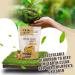 TATA RAW Organic Sprouted Maple Walnuts with Turmeric Ginger - 1 lb Pack - Buy Online on GoSupps.com